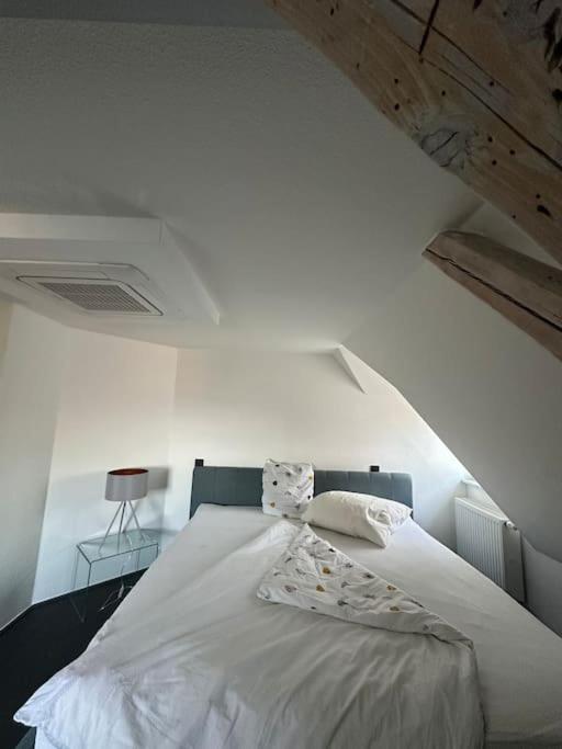 Panorama Penthouse In Wunderschoener Villa Kassel Luaran gambar